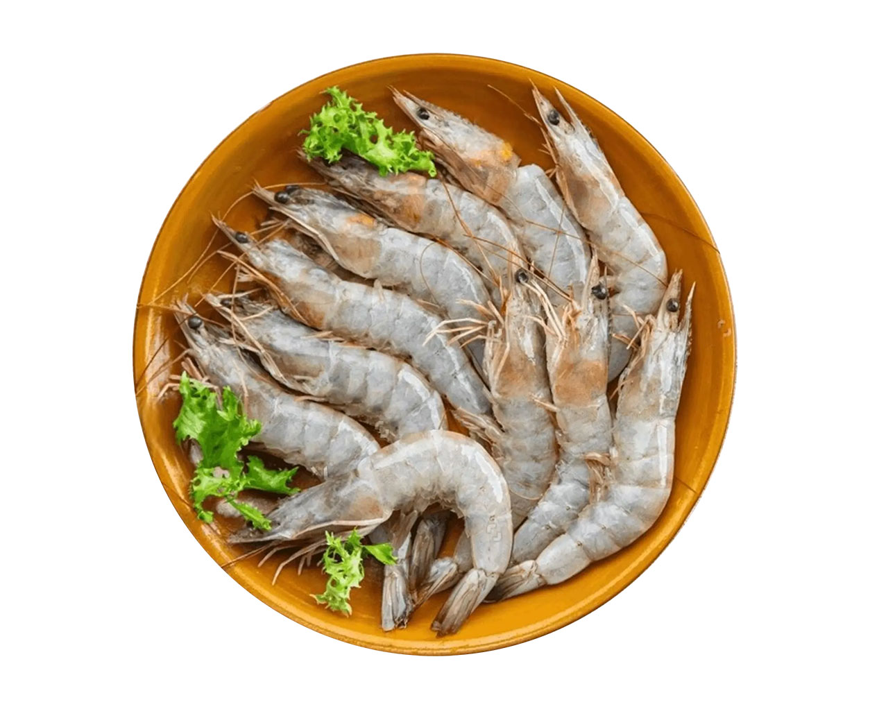 Frozen Seafood Shrimps