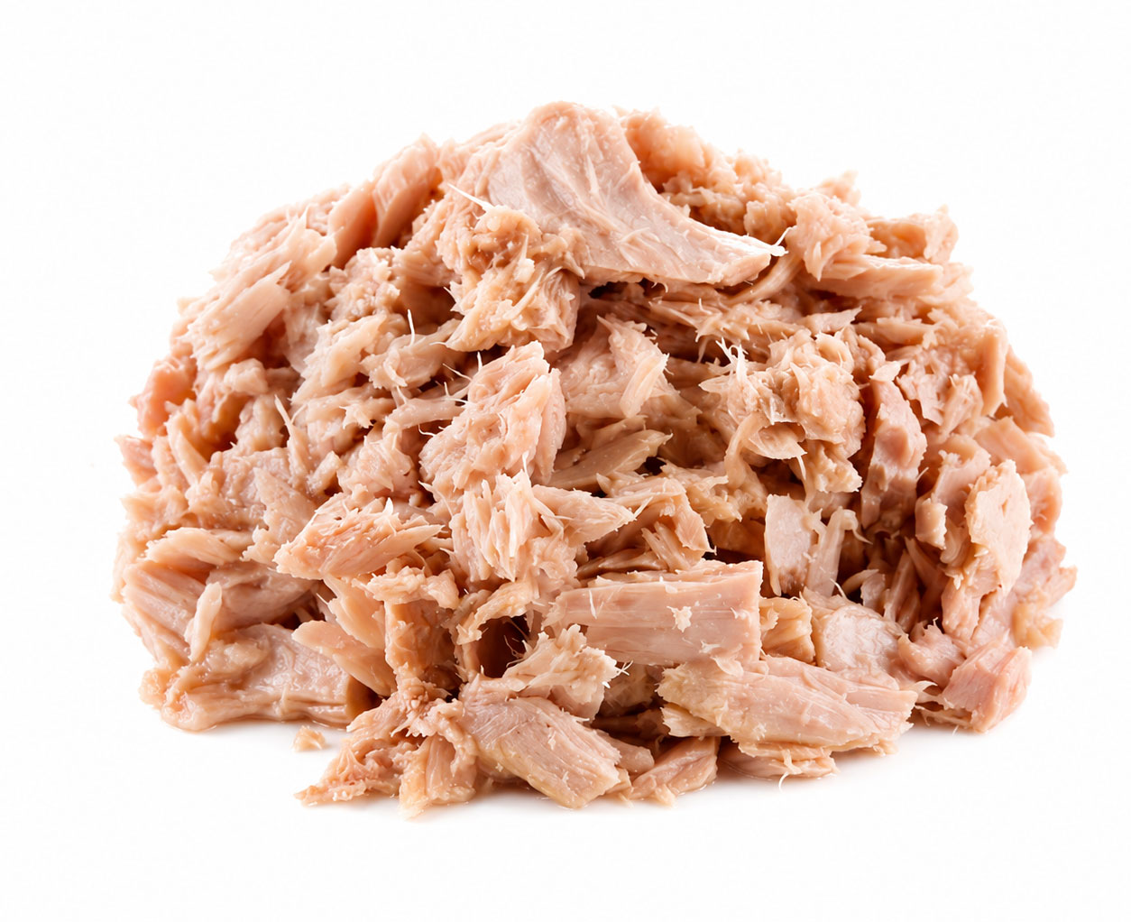 Popular Fish Species Tuna